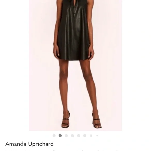 Amanda Uprichard Louie Forest Green Faux Leather Mini Swing Dress - Picture 4 of 10